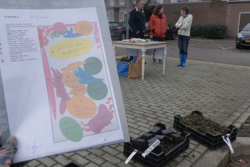 vergroening p steenweg 1