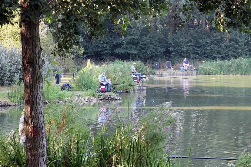 verkoeling aan het water driepoel geleen
