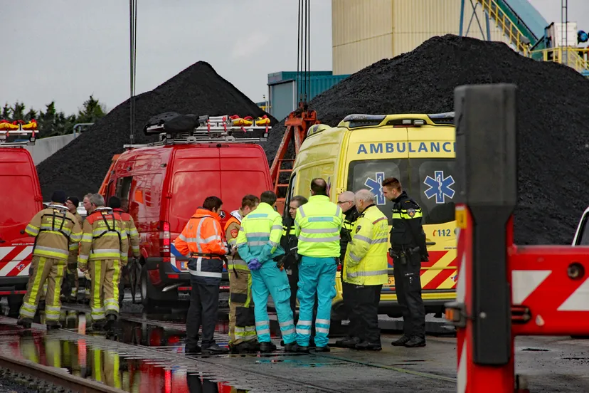 vermissing haven born 1