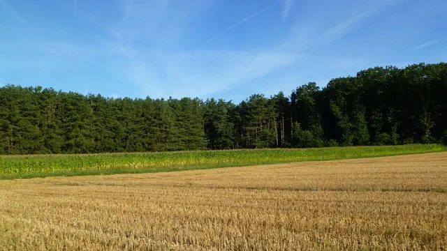 vialkcj9fbxghrz1l3ymnw3ky zomerse dag akker bosrand