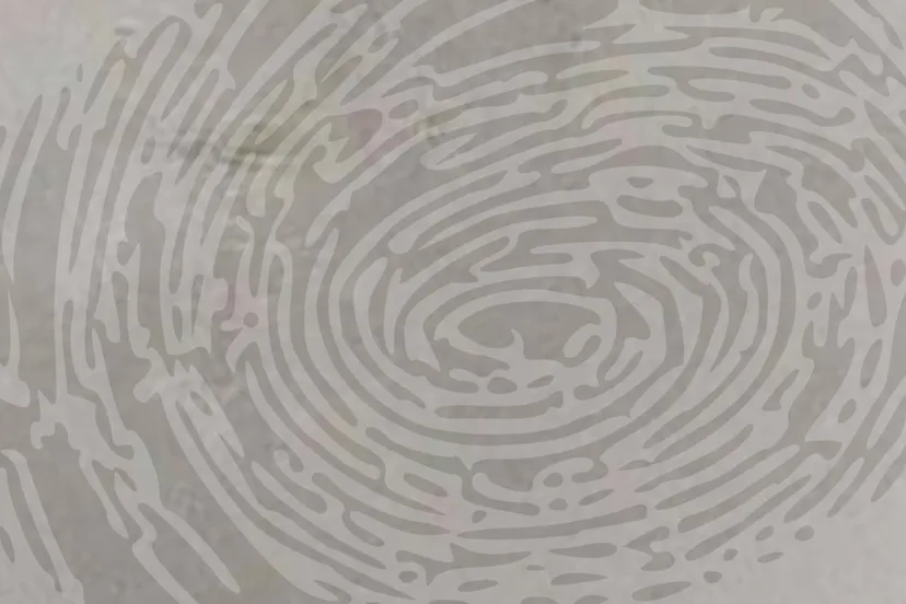 vingerafdruk cc0 via pixabay fingerprint 150159