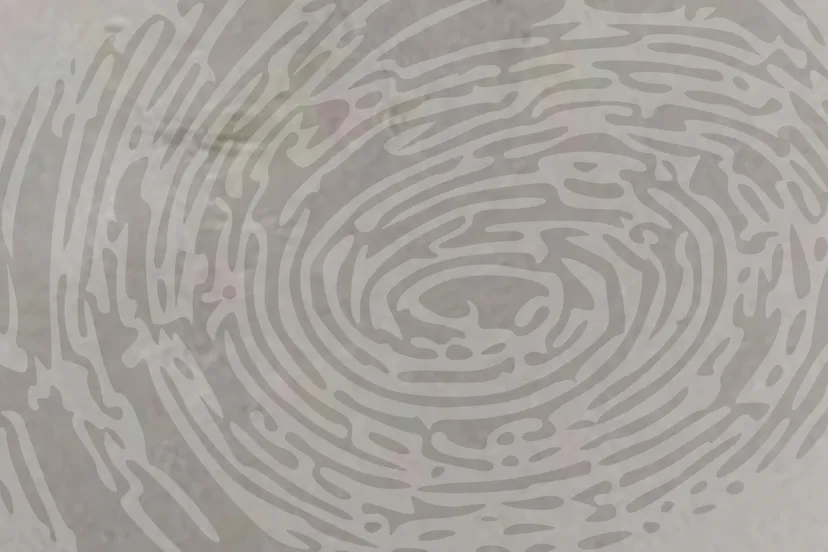 vingerafdruk cc0 via pixabay fingerprint 150159