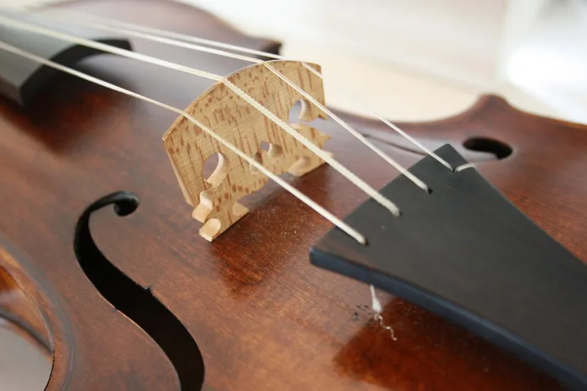 viool snaarinsttrument cc0 pixabay stringed instrument 3131548 1920