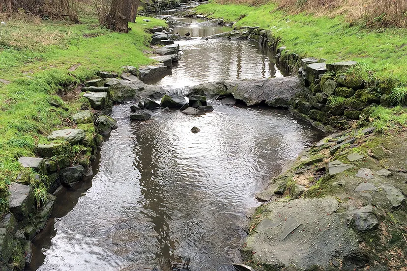 vistrap bij ophovenermolen