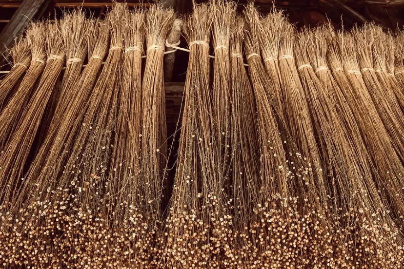 vlas cc0 via pixabayjpg