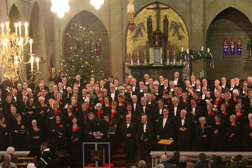 voces vocales en mignon