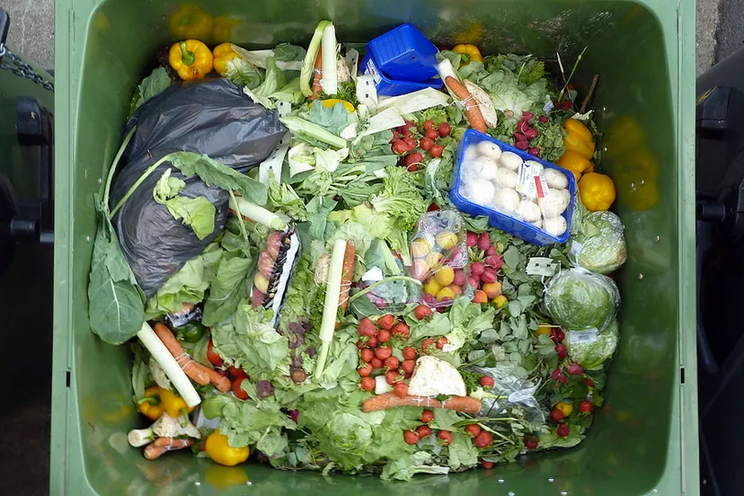 voedselverspilling gft bak