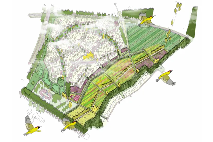 vogelvlucht kollenbergboeren