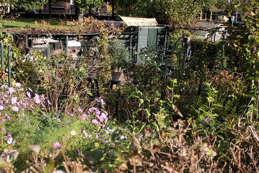 volkstuin oostelijke schootsvelden asbestsanering