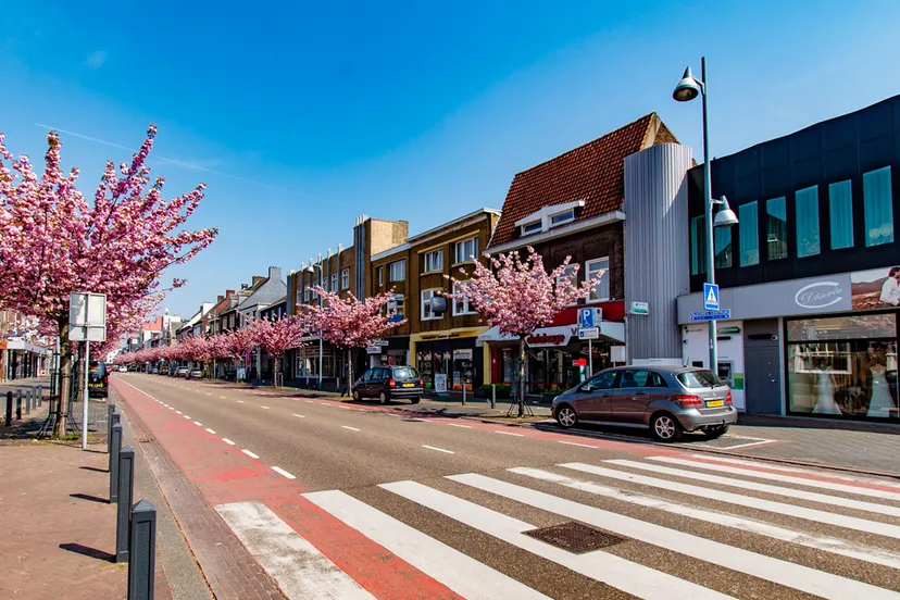 voorjaar japanse kers geleen 6