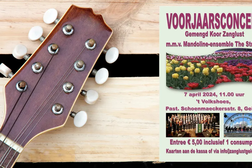 voorjaarsconcert hals snaren mandoline