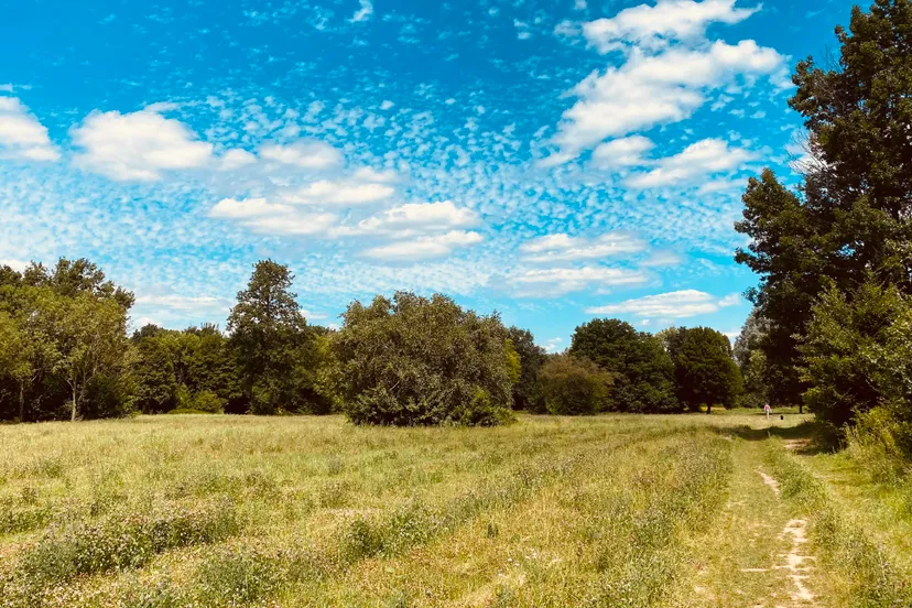 voormalige escs locatie 2 juli 2022 3