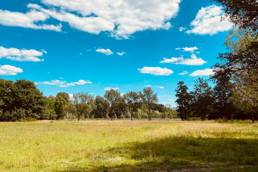 voormalige escs locatie 2 juli 2022 4