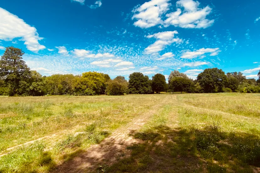 voormalige escs locatie 2 juli 2022 5