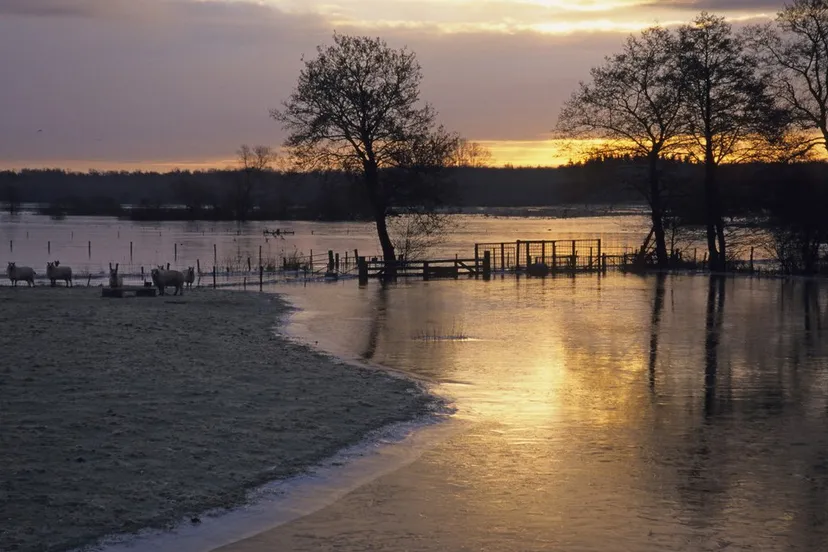 vqbyo7sv083br49a974p3zzrd natuurlandschapwaterbomenwinterochtendzonsopganghqfoton