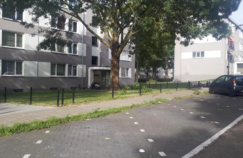 vrangendael veegwagen onkruid