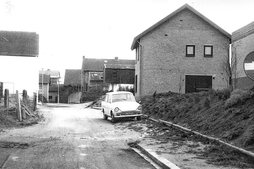 vredeslaan limbricht bij aanleg