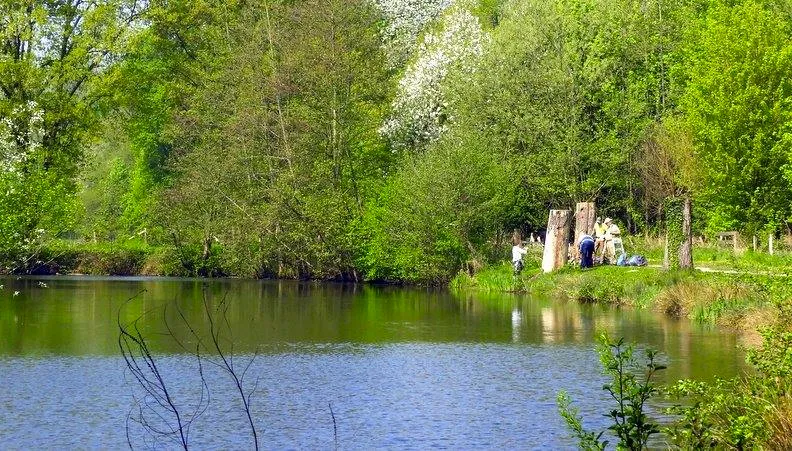 vrienden van de schwienswei