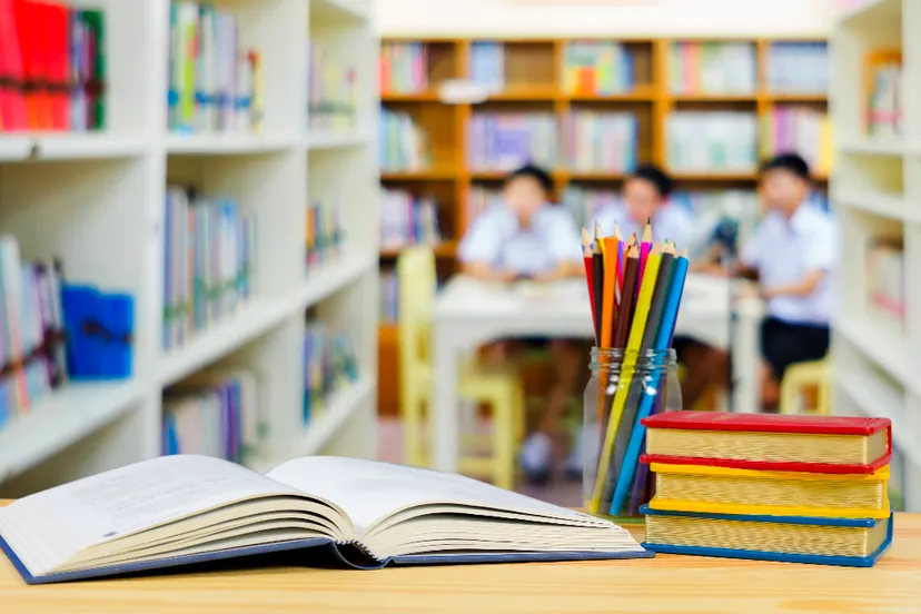 vrij lezen in de klas cc0 via pxhere