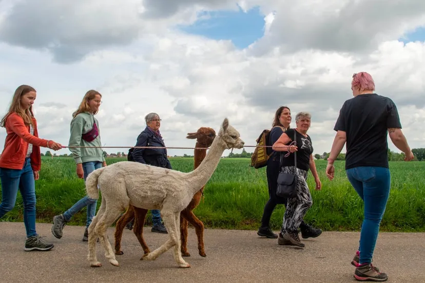 vrijwilligersweekend sittard geleen