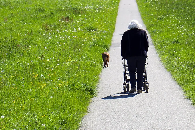 vrouw met hond en rollator cc0 pixabay