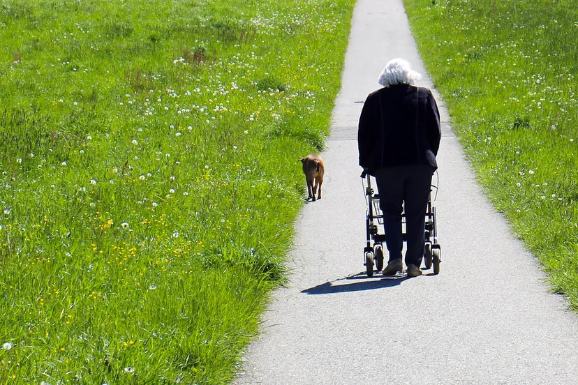 vrouw met hond en rollator cc0 pixabay