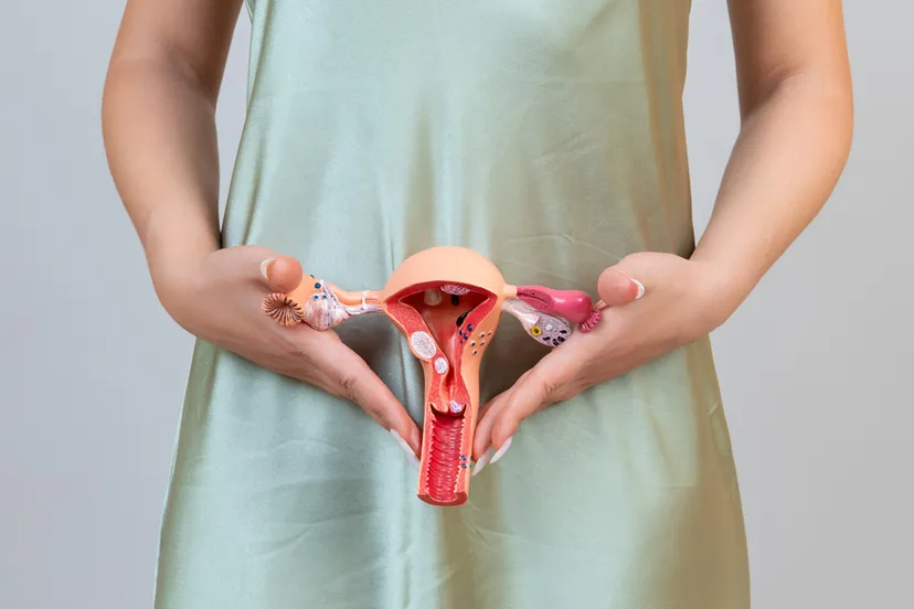 vrouw model baarmoeder