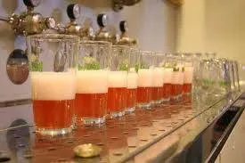 vzeuwdv2rx1n5flyfeho2bz0m 153352