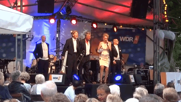 w3qa51y9lr8fauithotmaz0fs blech harmoniker