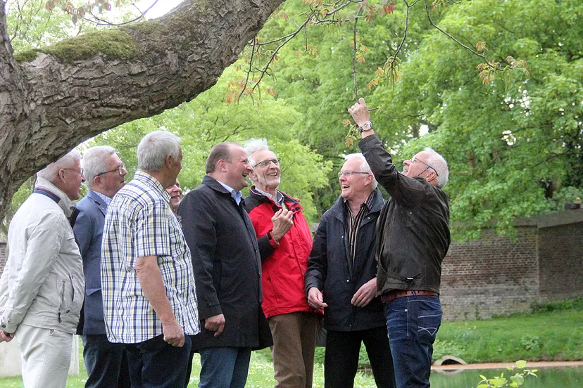 walnotenboom stadstuin