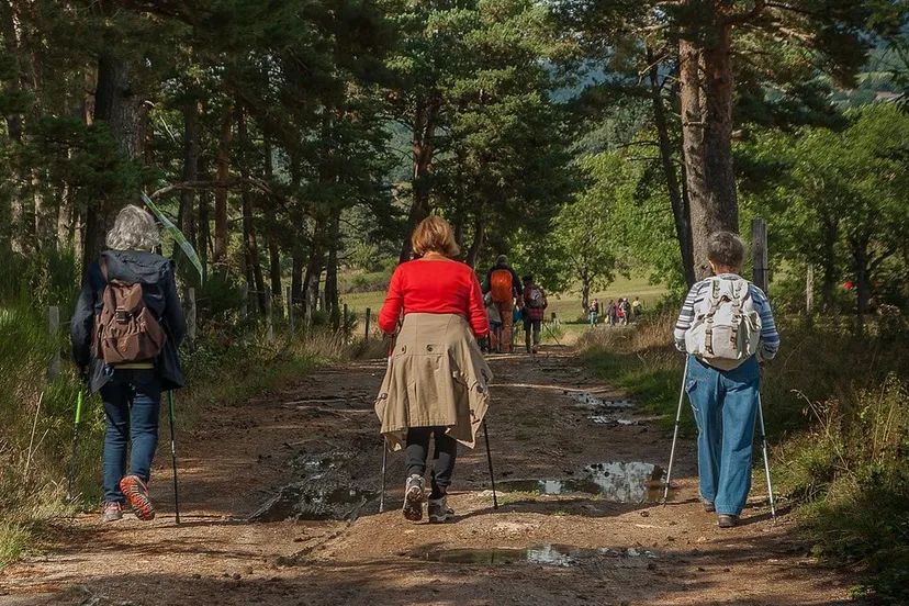 wandelaars cc0 via pixabay