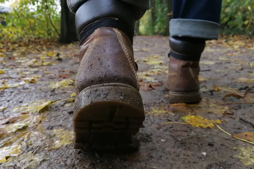 wandelen hiking 3301812 1920