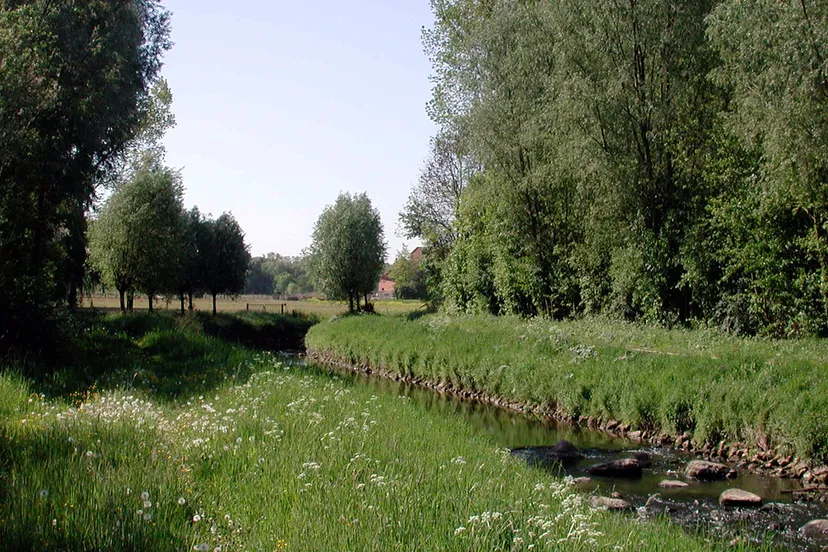 wandelen schitterend schinnen 1 geleenbeek