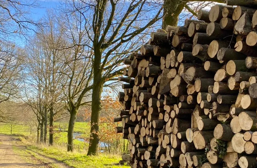 wandeling bij sweikhuizen met gilde de graven