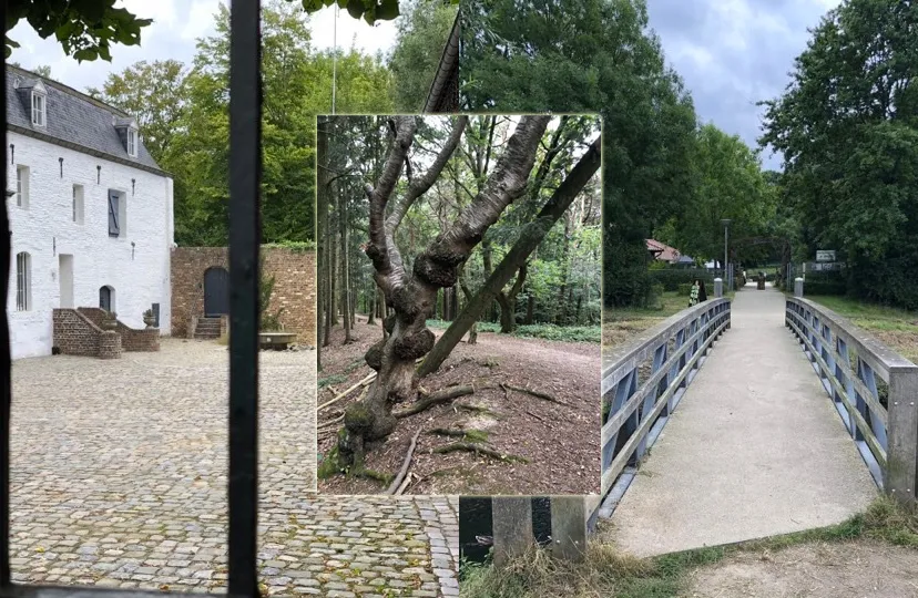 wandeltocht fanclub limburg lions