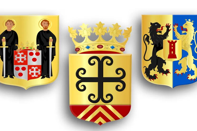 wapens geleen sittard born