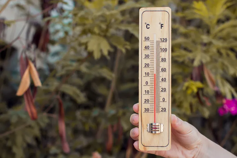 warmte weer thermometer 117 graden