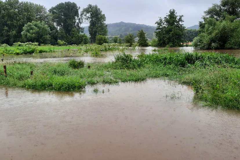 water vertragen in het geuldal ark rewilding