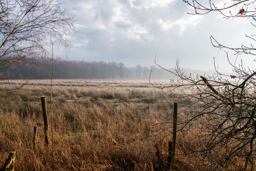 weerterbos ilse broekmans