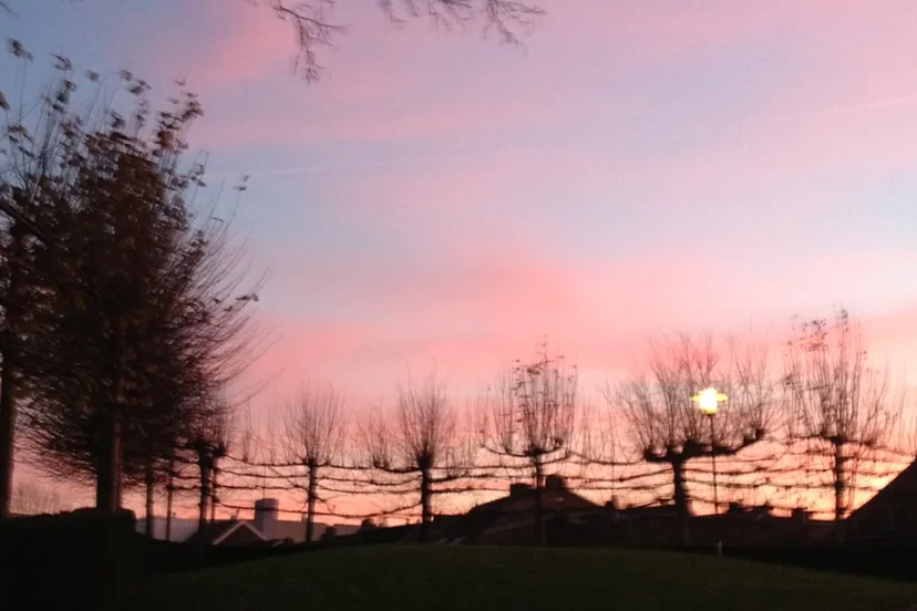 wep8wn2wcfcr4zlb4iykryv8f geheime tuinen fort sanderbout 9 dec 2013 foto 9