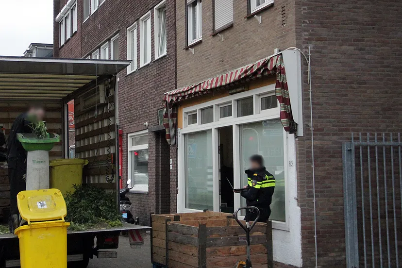 wietplantage rijksweg zuid sittard 1