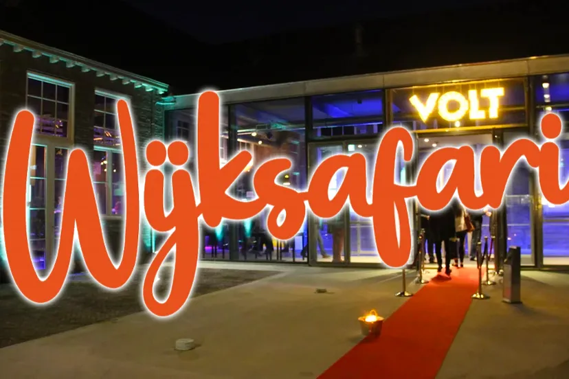 wijksafari poppodium volt odasingel 88 sittard
