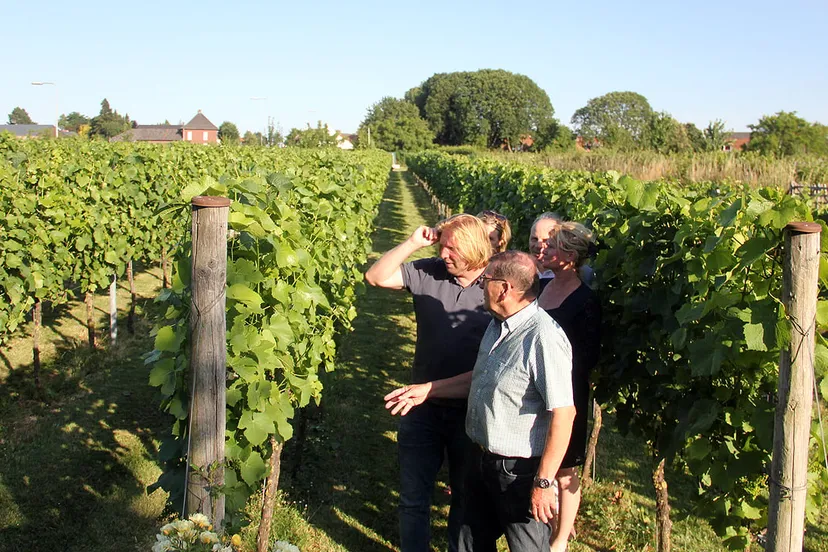 wijngenootschap sint rosa1