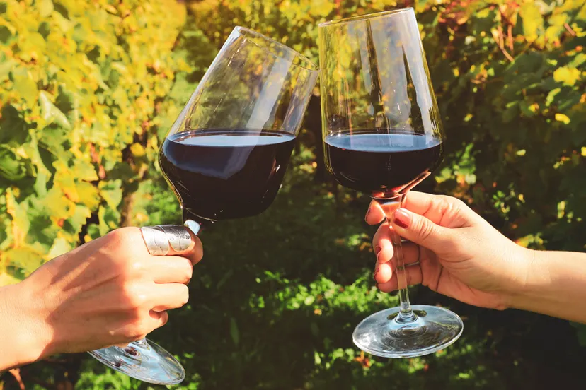 wijnglazen wijnconsumtpie wijngaard