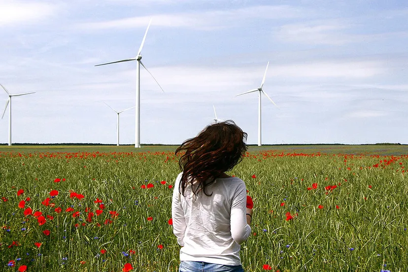 wind turbines 836619 1280