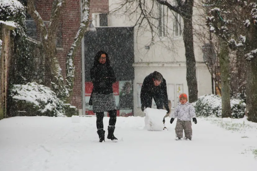 winter 2015 sneeuw bal wal