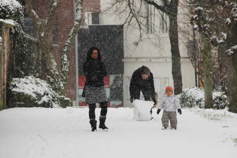 winter 2015 sneeuw bal wal