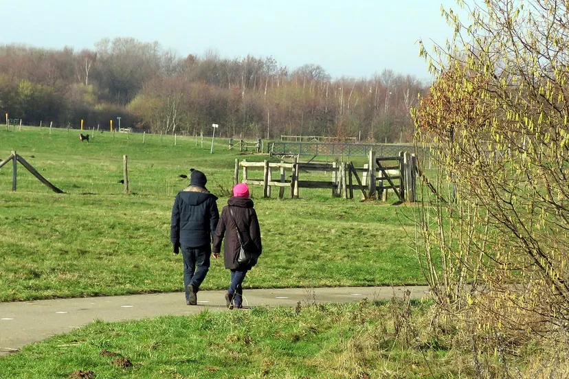 winter januari 2018 tom bloem 2 wandelen wadelweer