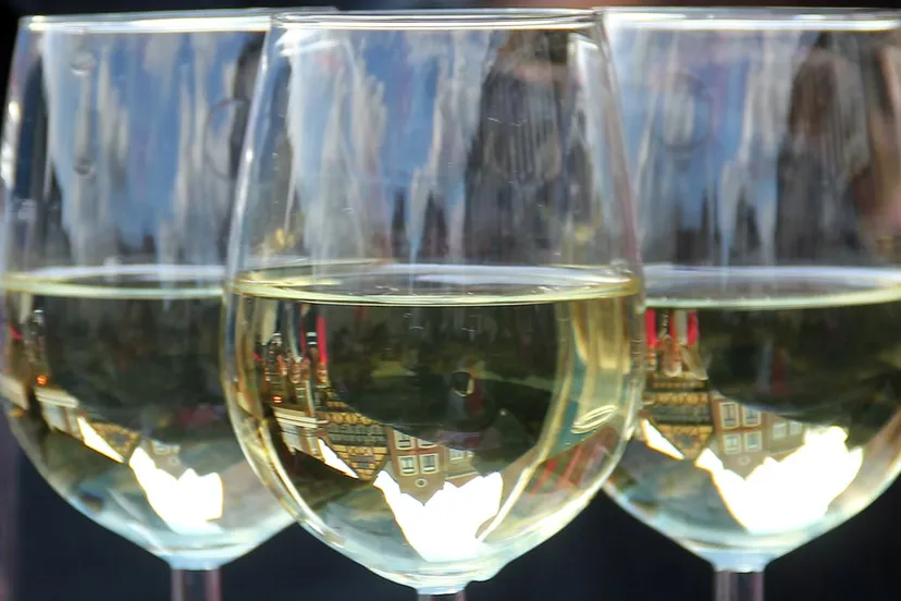 witte wijn markt horeca