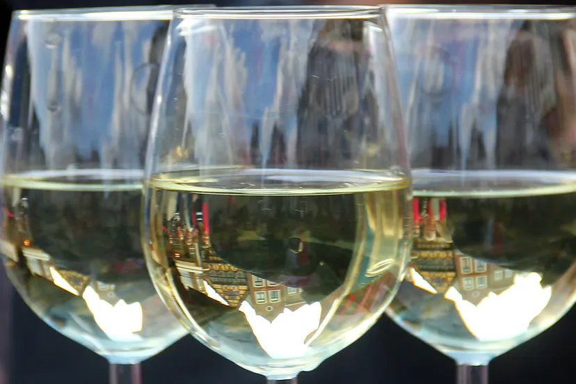 witte wijn markt horeca